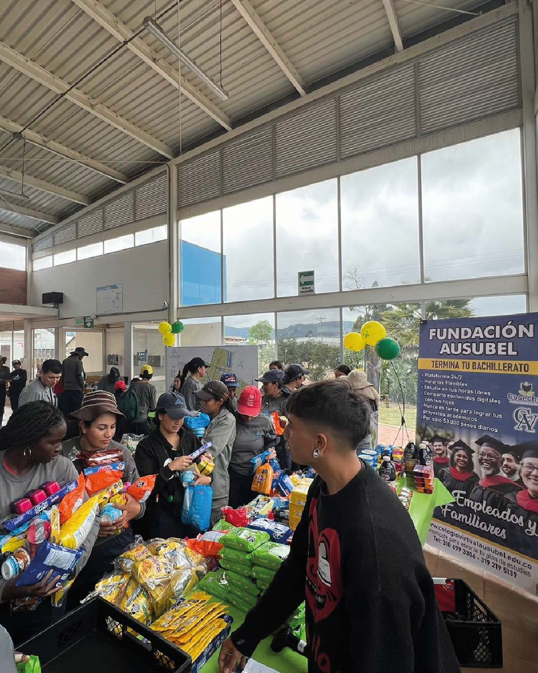 Activación Cultivos La Planicie