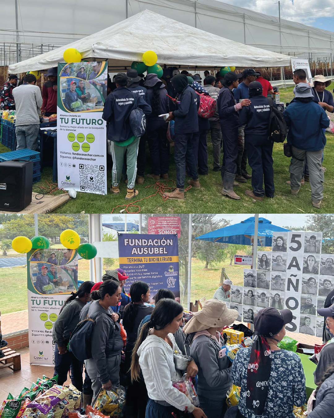 Activación Cultivos La Planicie